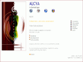 Alcya Informatique